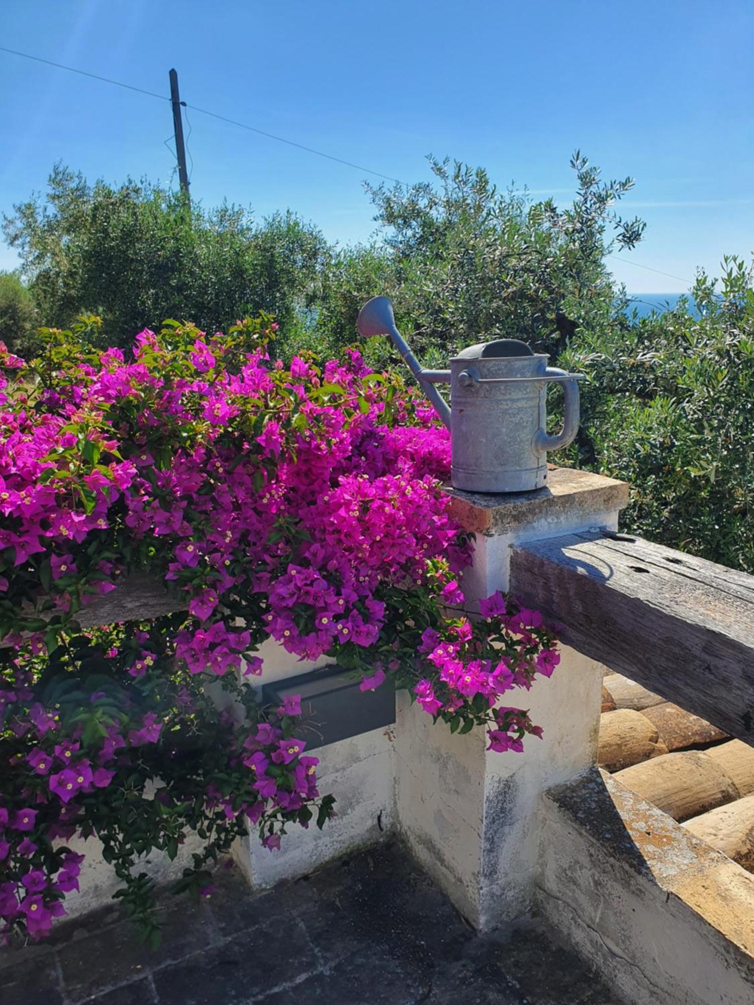 Agriturismo Mondomini Campofilone Bagian luar foto