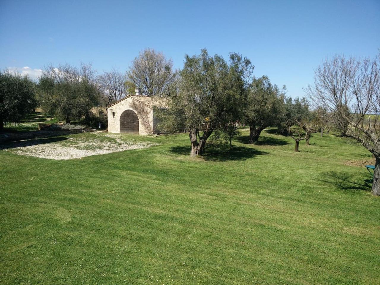Agriturismo Mondomini Campofilone Bagian luar foto