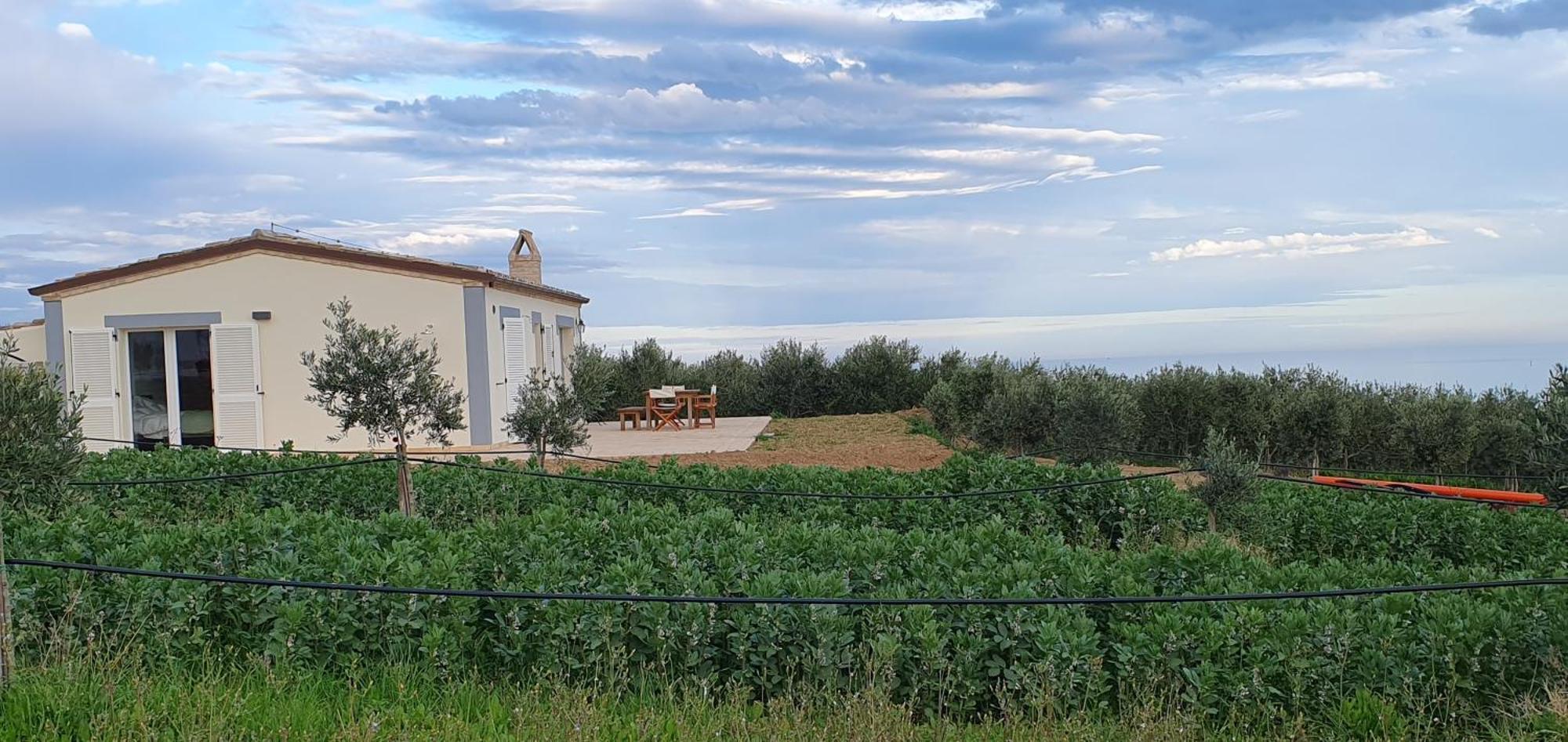 Agriturismo Mondomini Campofilone Bagian luar foto